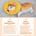 Soft Recovery Cone Collar for Dogs