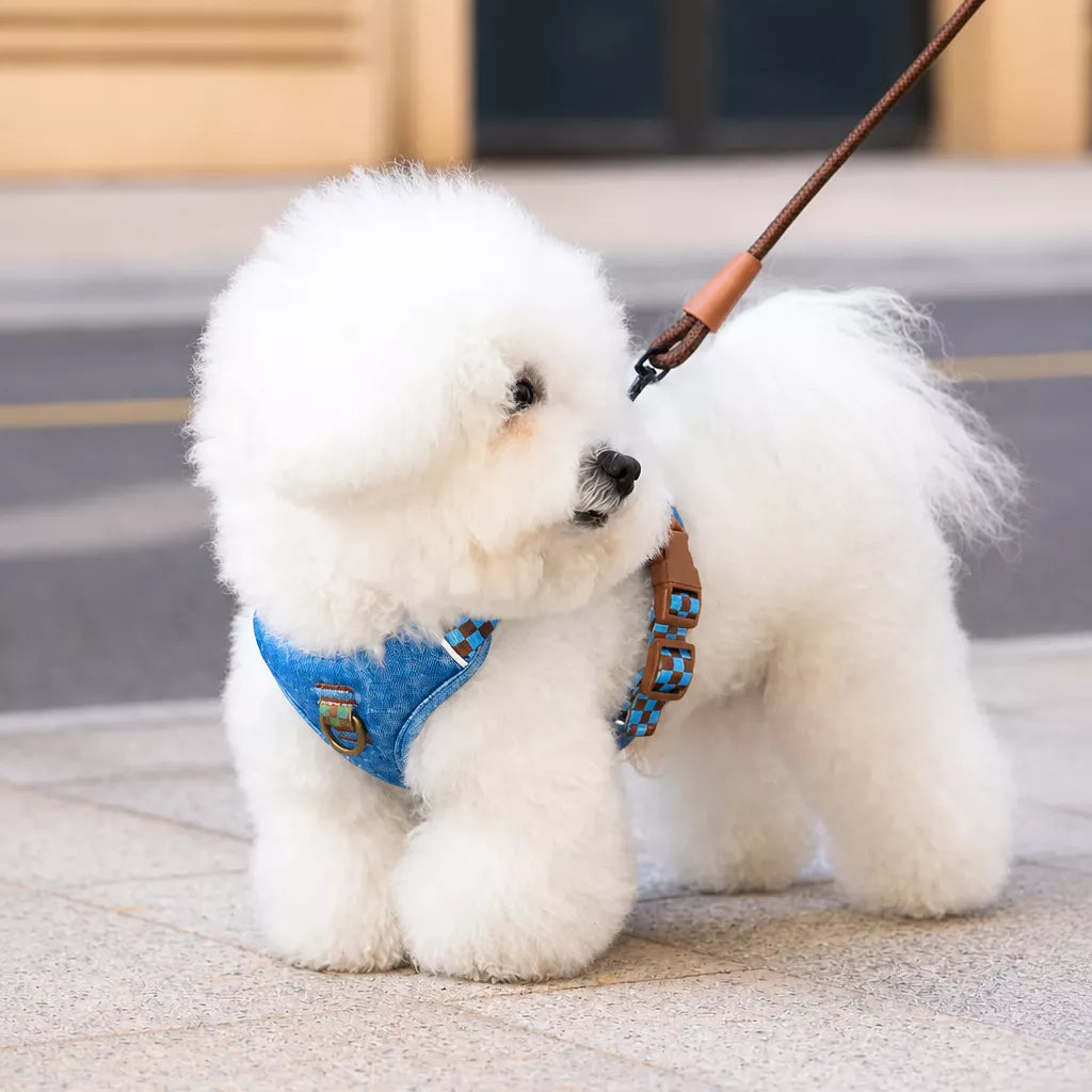 Adjustable Pet Harness