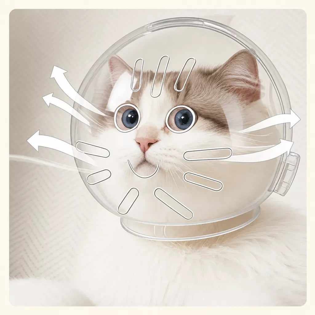 Cat Space Hood Elizabethan Collar