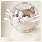 Cat Space Hood Elizabethan Collar