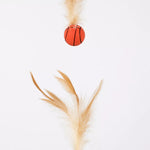 Cat Feather Teaser Ball Toy