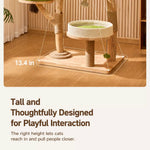 Solid Wood Cat Tree with Cat House and Hanging Basket