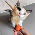 Cat Feather Teaser Ball Toy