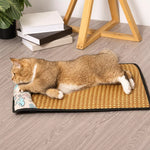 Foam Pillow Mat Pet Bed for Cats and Dogs