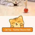 Cat Feather Teaser Ball Toy