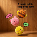Squeaky Spiky Ball Dog Toy
