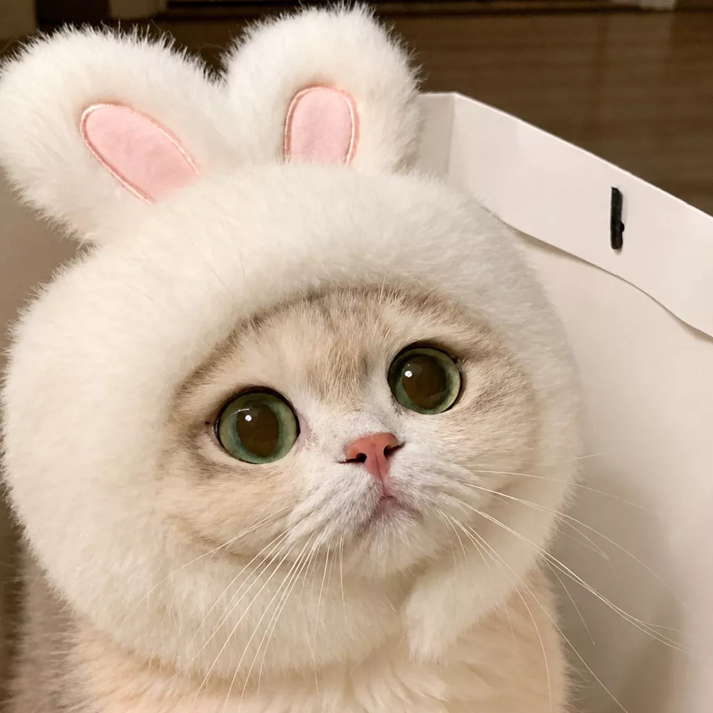 Character Costume Pet Hat for Cats and Dogs