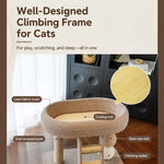 Compact Cat Tree with Sisal Scratching Post and Resting Bed