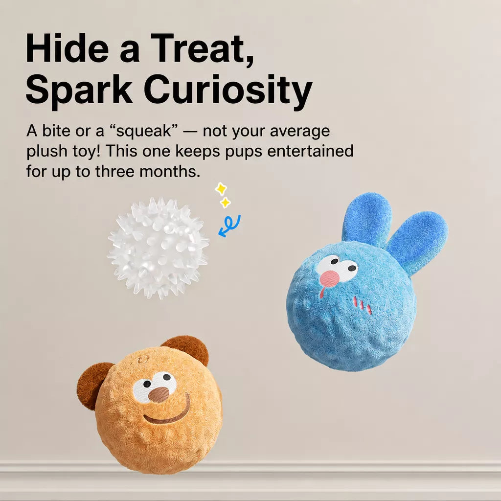 Squeaky Elastic Ball Toy for Dogs