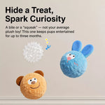 Squeaky Elastic Ball Toy for Dogs