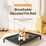 Elevated Dog Bed with Nylon Cot and Stainless Steel Frame