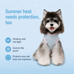 Lightweight Printed Color-Block Vest for Small Dogs