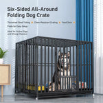 Indoor Dog Crate with Divider, Tray & Locking Casters