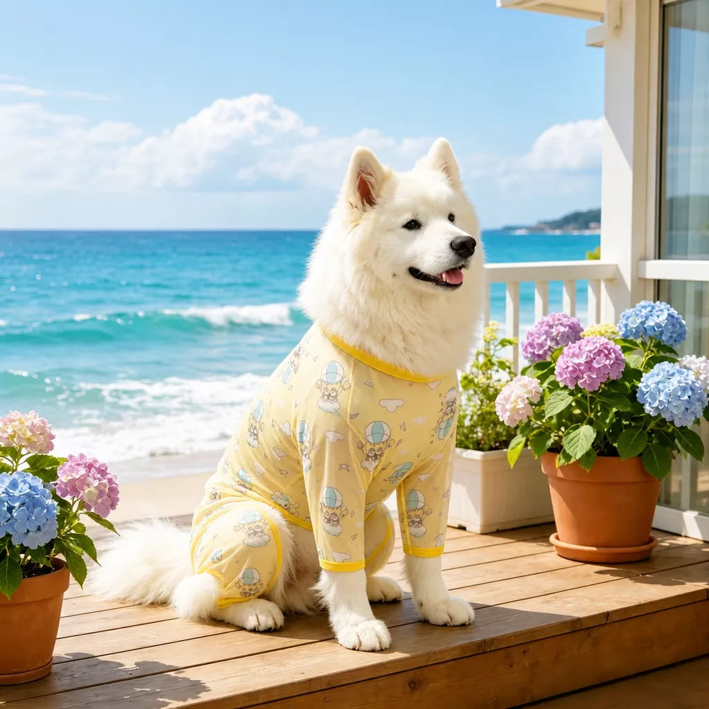 Four-Leg Dog Shirt with Cartoon Print