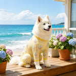 Four-Leg Dog Shirt with Cartoon Print
