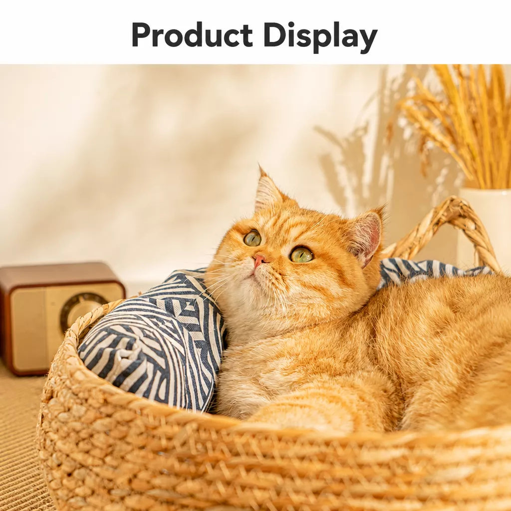 Woven Cat Beds for Cats & Small Dogs
