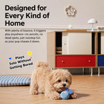 Squeaky Elastic Ball Toy for Dogs