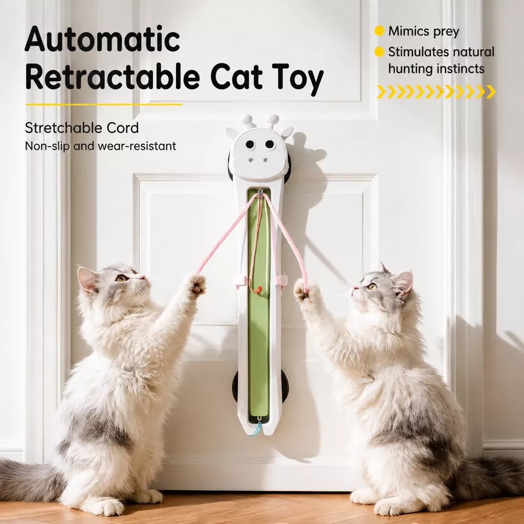 Automatic Wall-Mounted Cat Teaser Toy with Interactive Rope