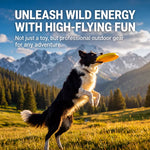 Floating Flying Disc Dog Toy Sets for Fetch and Water Play