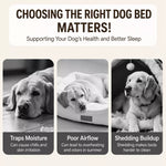 Elevated Dog Cot Bed with Removable Cover
