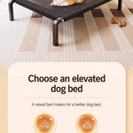 Elevated Mesh Dog Cot Bed