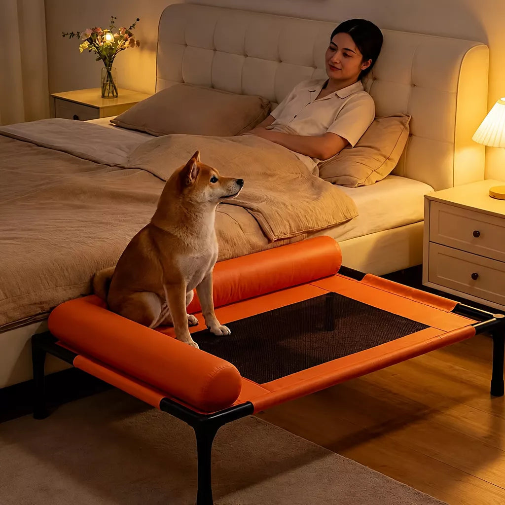 Raised Pet Cot Bed for Small to Medium Dogs and Cats