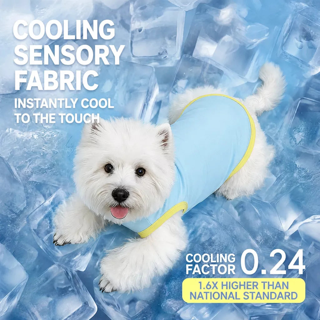 Lightweight Dog Vest for Small Dogs