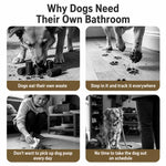 Stainless Steel Dog Potty Tray for Medium and Large Dogs