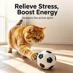 Cat Sports Ball Toys, 6 cm Latex Balls for Playtime
