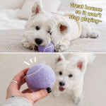 Ice Cream Tennis Ball Interactive Dog Toy with Storage Box