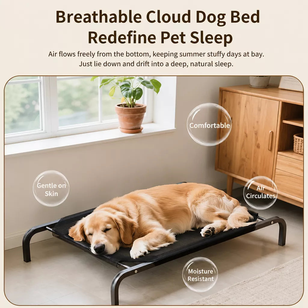 Elevated Dog Cot with Nylon Mesh and Iron Frame