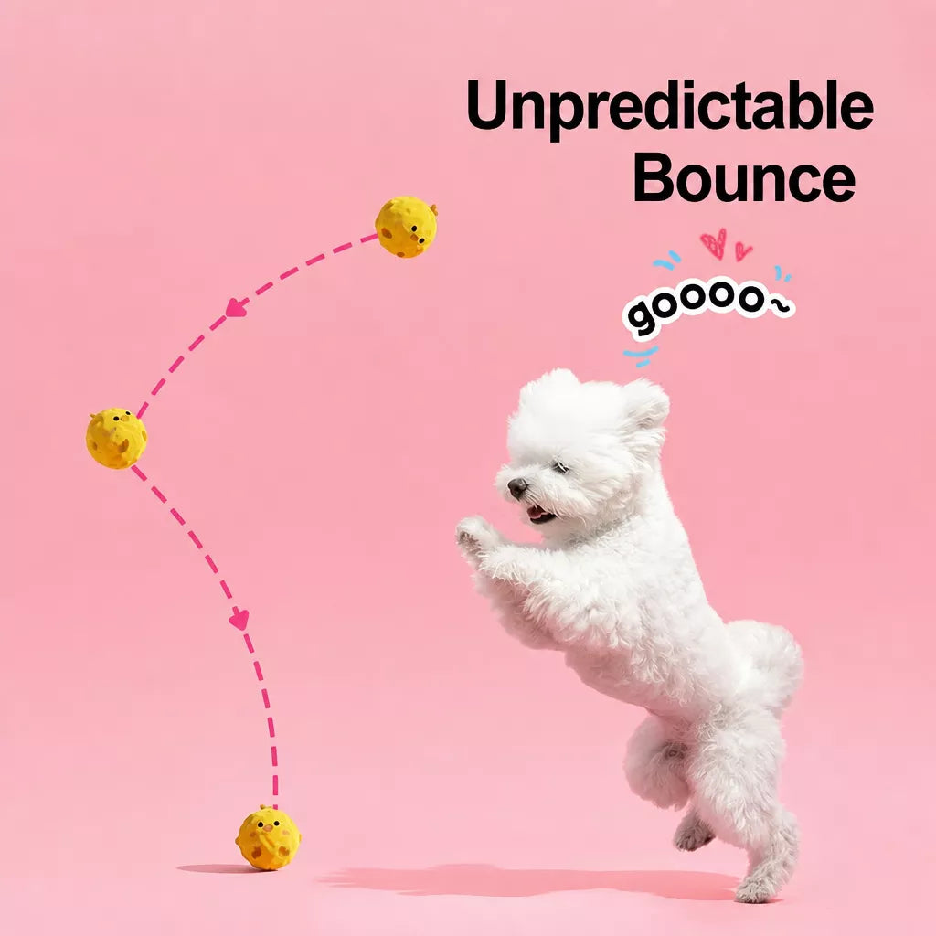 Squeaky Spiky Ball Dog Toy