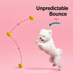 Squeaky Spiky Ball Dog Toy