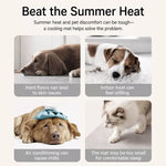 Foam Pillow Mat Pet Bed for Cats and Dogs