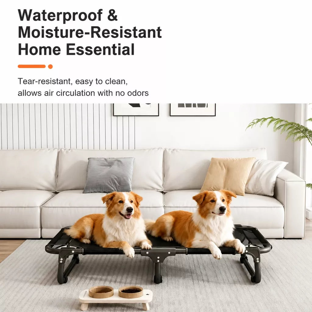 Elevated Folding Dog Cot with Breathable Mesh