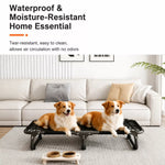 Elevated Folding Dog Cot with Breathable Mesh