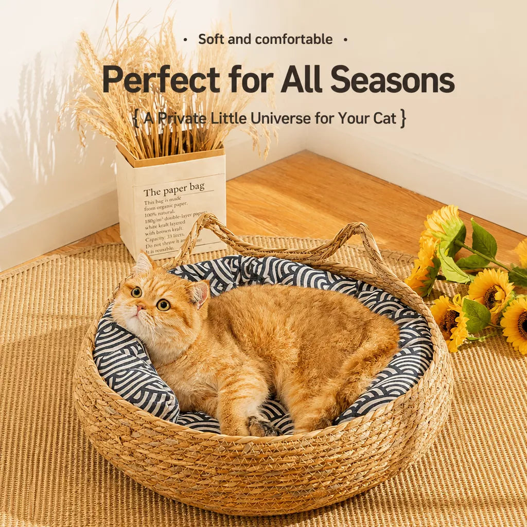 Woven Cat Beds for Cats & Small Dogs