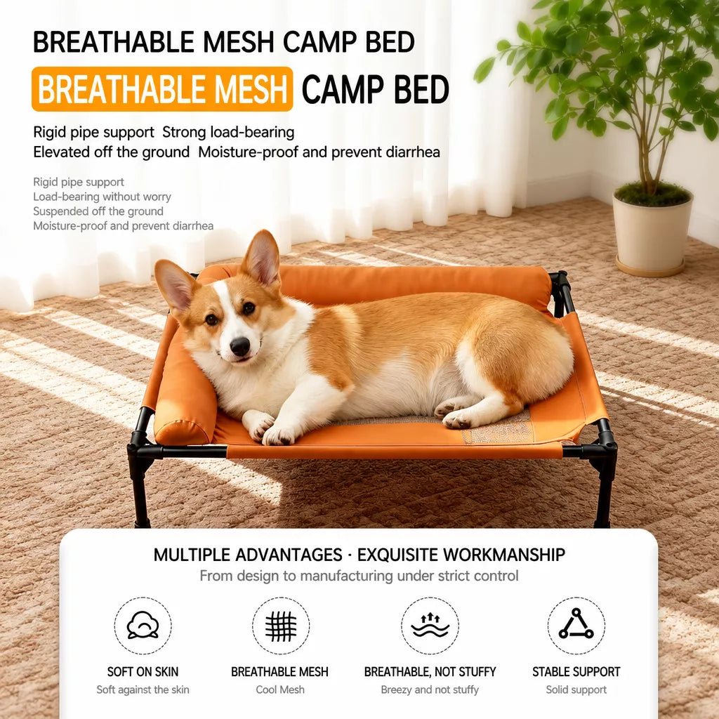 Elevated Dog Cot Bed with Mesh Sleeping Surface