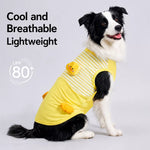 Lightweight Dog Outdoor Vest for Warm-Weather Wear