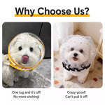 Mesh Dog Muzzle for Small Dogs