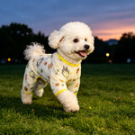 Lightweight Mesh Pet Shirt