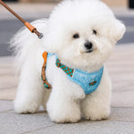 Adjustable Pet Harness