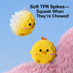 Squeaky Spiky Ball Dog Toy