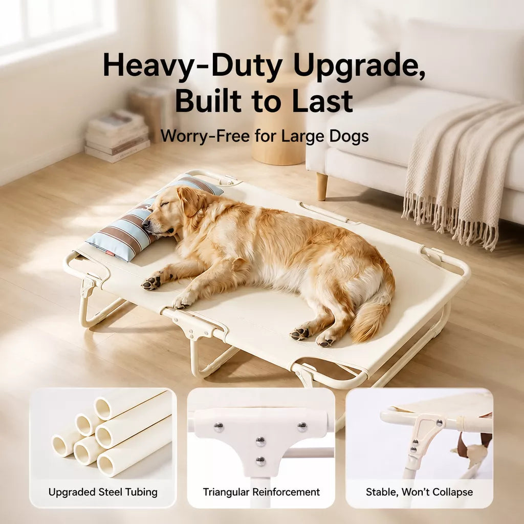 Elevated Waterproof Dog Cot Bed