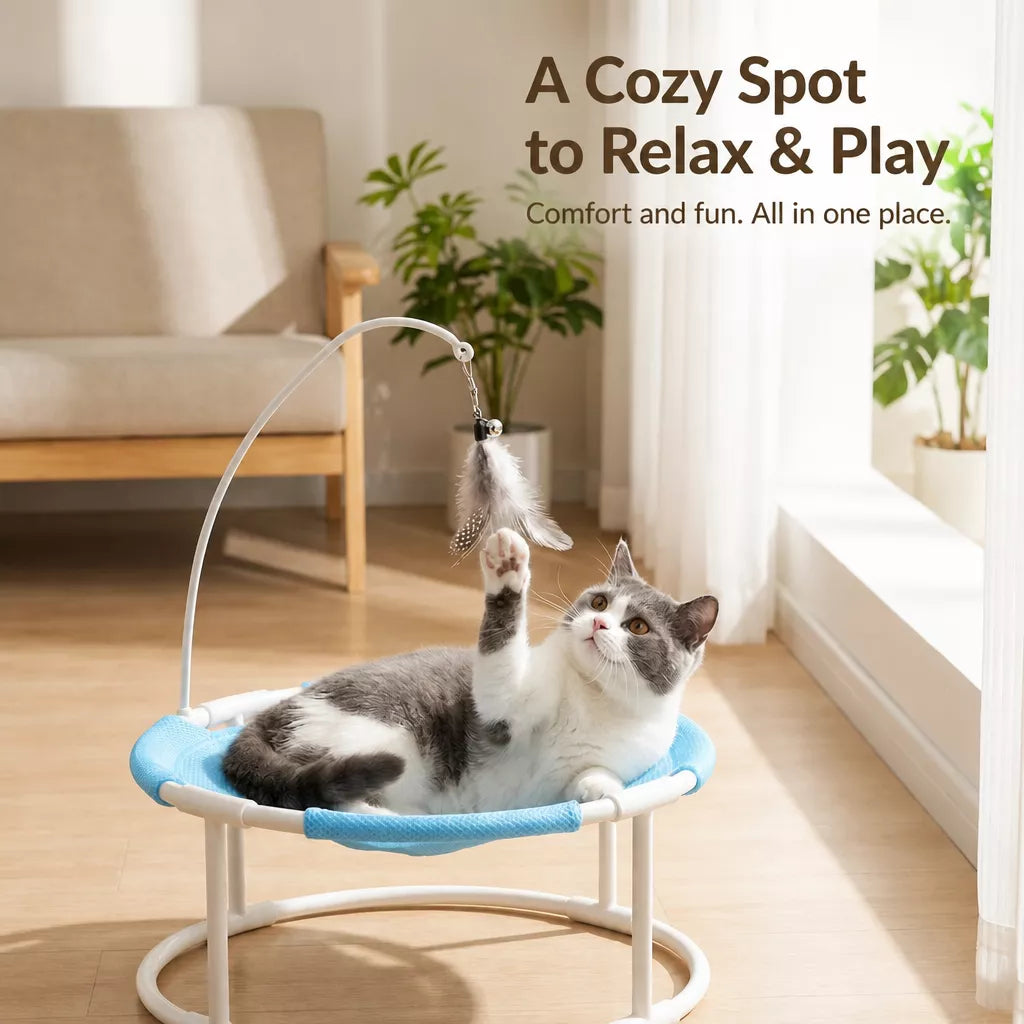 Elevated Round Pet Bed with Breathable Hammock