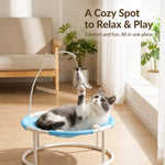 Elevated Round Pet Bed with Breathable Hammock