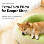 Polyester Dog Bed for Small to Medium Dogs