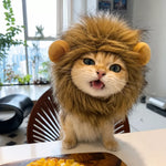 Character Costume Pet Hat for Cats and Dogs