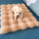 Pet Bed Mat for Cats, Dogs & Rabbits