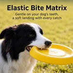 Floating Flying Disc Dog Toy Sets for Fetch and Water Play